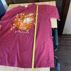 Ed Sheeran Plus Album Graphic T-Shirt Burgundy Mens XL Bay Island Sportswear