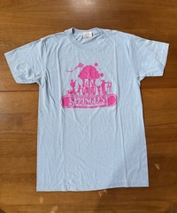 Vintage Springfest Tees Bundle Charlotte NC 1980s Various Sizes And Colors