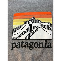 Patagonia Gray Long Sleeve Tee with Orange and Yellow Sunset Graphic