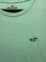 Hollister Must Have Collection T Shirt Mens Medium Mint Green Embroidered Logo