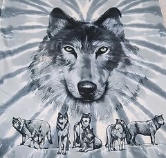 Vintage 2003 Liquid Blue Great Wolf Lodge Wolf Print Blue Tye Dye T-Shirt L