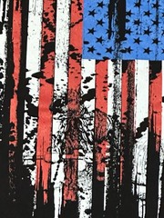 District Made Westside American Flag Graphic Front & Back Black Crew Neck – 4XL