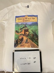 The Great Wall Of China tshirt