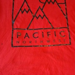 Aéropostale Men’s Single Stitch Pacific Northwest Nature Graphic Tee Size L