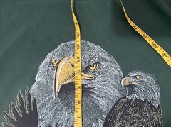 Bald Eagle Shirt Mens 3X Single Stitch Green Distressed Graphic Cal Cru Vintage