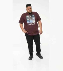 D555 Duke Big Mens Pink Floyd Printed T-Shirt Licensed Product 2XL-6XL (601621)