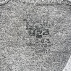 Lollapalooza Graphic T-Shirt Large Gray Concert Festival Tee Fest Large Uni Sex