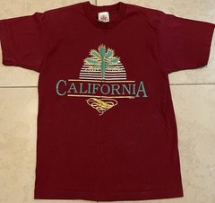 Vtg 80s California Palm Tree Faded Shirt M USA Art Beach Surf Grunge OP TC 90s