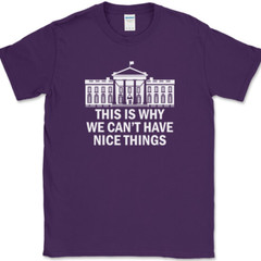 Why We Can’t Have Nice Things T-Shirt Funny Anti Government Political Tee