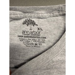 Ann Arbor T-Shirt Co Gray Funny Graphic Tee Expert Advice Mens XL