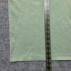 Hollister Must Have Collection Shirt Mens Medium Sage Green Cotton Logo Tee Crew