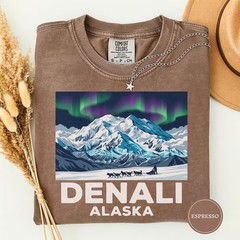 Denali Alaska Aurora Comfort Tee National Park Travel Souvenir