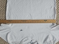 Hollister Must Have Collection White T Shirt Crew Neck Short Sleeve 100% Cotton
