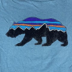 Patagonia Mens Slim Fit Small Teal Green Graphic Tshirt Bear Logo Hiking Outdoor