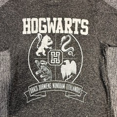Harry Potter Hogwarts Crest Graphic T-Shirt Gray Linen Blend Mens Small S