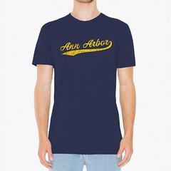 Ann Arbor City Baseball Script – Michigan Pride Triblend T Shirt – Vintage Navy
