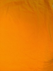 Quiksilver Men’s Daisy Flower T-Shirt Herb Green 2XL Organic Cotton NWT