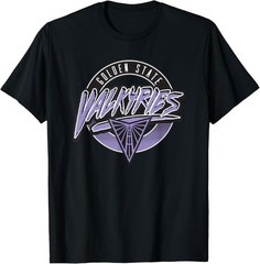 Valkyries Bball Fans Gift Retro Golden State Graphic Unisex T-Shirt