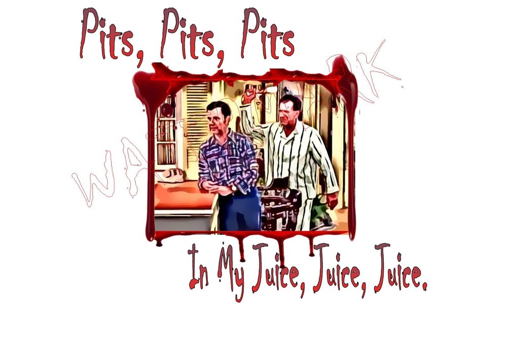 Odd Couple Felix Unger Oscar Madison I Don’t Like Pits Tribute Parody Shirts