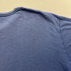 Patagonia T-Shirt Mens XL Blue Fitz Roy Bear Hiking Cotton Short Sleeve 39143