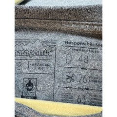 Patagonia Gray Long Sleeve Tee with Orange and Yellow Sunset Graphic