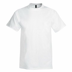Hanes USA Beefy T TALL BLACK GREY RED BLUE or WHITE Extra Long Length Cotton