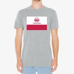 Chula Vista US City Flag – Hometown Sports Team USA T-Shirt – Sport Grey