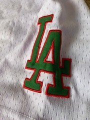 Los Angeles Dodgers MEXICO WEST COAST “Viva Mexico Cabrones” Jersey 20# READ