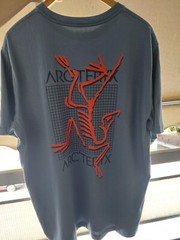Arc’teryx Men’s Arc’Multi Bird Logo T-Shirt – Stone Wash (size XL)