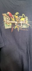 Panama Jack Adult’s 2XL Distressed Parrot-dise Navy Blue Graphic Logo T-shirt