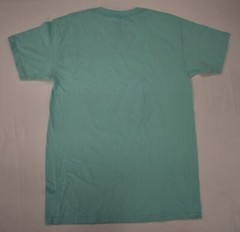 FRIENDS Mens Friends Television Show Mint Tee Shirt New S, M, L, XL, 2XL, 3XL