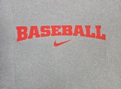 Mens Nike DriFit Baseball Short Sleeve T Shirt Gray Medium Athletic Training