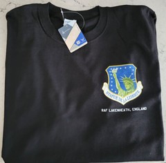 48th TFW F-111 Statue of Liberty Wing Squadron T-Shirt D3, USAF Licensed Product