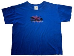 Vintage Y2K Nike Center Logo Spellout Boxy T Shirt Men’s XL (fits Smaller) Blue