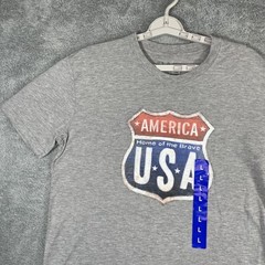 Galt T Shirt Men Large Gray American USA Home of the Brave HWY Sign NEW Patriot