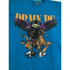 DRMN BG Teal “Rise Like The Phoenix Graphic” Graphic T Shirt (908)