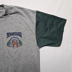 Vintage Pennsylvania Shirt Deer Nature Gray Green Mens Large Colorblock Tee