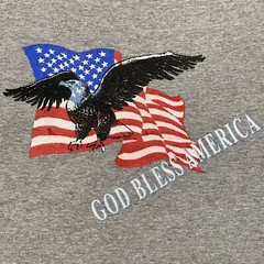 God Bless America Shirt S Gray U.S. American Flag Bald Eagle Graphic Delta Tee
