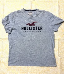 Hollister Men’s Gray Seagull Logo Graphic Crew Neck Short Sleeve Knit Tee, XL
