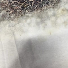 Mens Distressed Vintage 1996 Impulse Wear Grizzly Bear Wildlife Nature Shirt XL