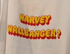 Vintage 70s Champion T Shirt Galliano Harvey Wallbanger Single Stitch Ringer Tee