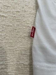 Levi’s Mountain Graphic T-Shirt Crew Neck Short Sleeve White Men’s Small