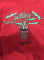 LIMITED EDITION Supreme Plant Tee Red Size M SOLD OUT ITEM FW17 100% Authentic