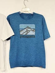 Lot 2 Patagonia Men’s Shirt Size Medium Capilene Cool P-6 Logo Organic T-Shirt