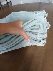 Comfort Colors Blank T-Shirt in Bay – 12 SHIRTS – VARIOUS SIZES – S, M, L, XL