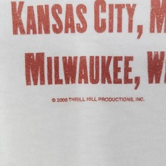 Vintage Bruce Springsteen and the EAST STREET BAND 2006 Tour T Shirt Mens Small