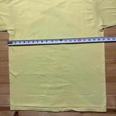 Vintage 80s Hanes Susquehanna Railroad Train Bridge Graphic T-Shirt USA – Large