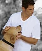 Classic Men’s White Short Sleeve Undershirts V Neck T Shirt – Multi & Bulk Wh…