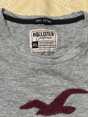 Hollister Men’s Gray Seagull Logo Graphic Crew Neck Short Sleeve Knit Tee, XL