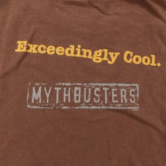 vtg y2k Discovery Channel Mythbusters t-shirt LARGE tag vtg y2k nerd tv show